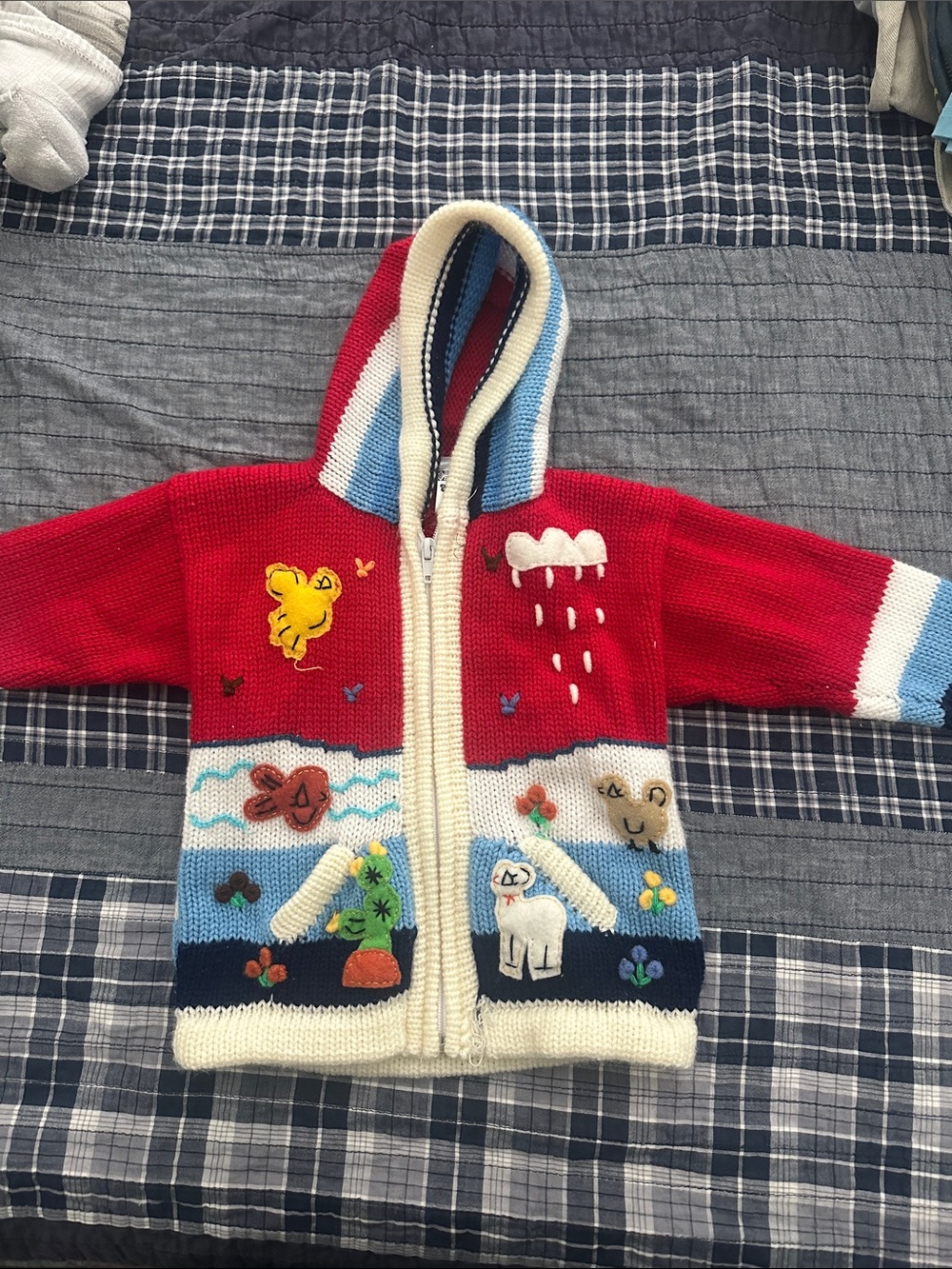 Red & Blue Kids Hooded Zip Cardigan with Animal Appliqués